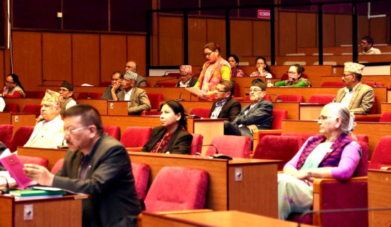Committee submits its report on Ship (Operation and Management)-2081 BS