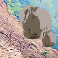 Cameras installed to monitor habitats of snow leopards in Mustang