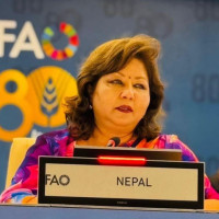 Calls for unified action on Shock-responsive social protection